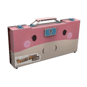 Pyroland Weapons Case