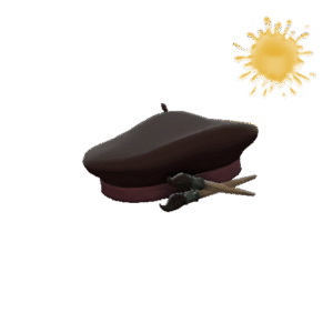 Unusual Frenchman's Beret