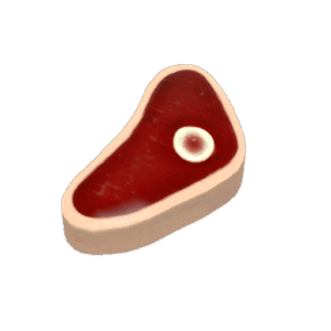 Collector's Buffalo Steak Sandvich
