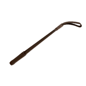 Collector's Disciplinary Action