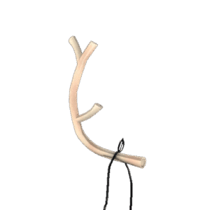 Collector's Prancer's Pride