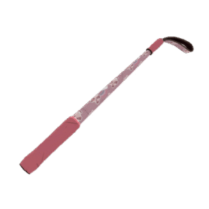 Dream Piped Disciplinary Action