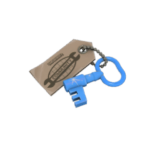 Blue Moon Cosmetic Key