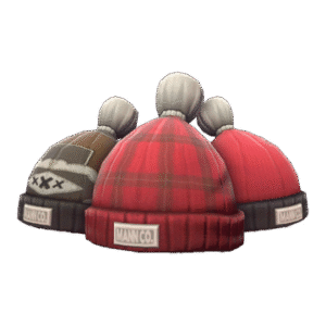 Boarder's Beanie