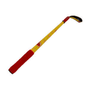 Bonk Varnished Disciplinary Action (Field-Tested)